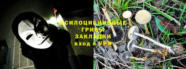 кокс Абаза